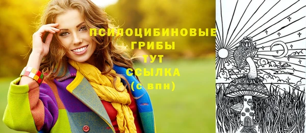 амф Балахна