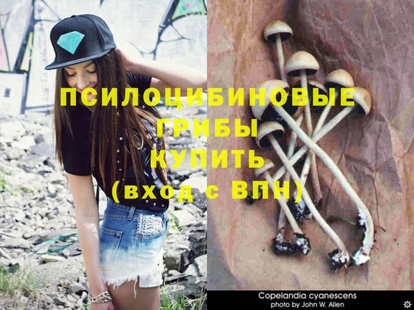 ГАЛЛЮЦИНОГЕННЫЕ ГРИБЫ Балабаново