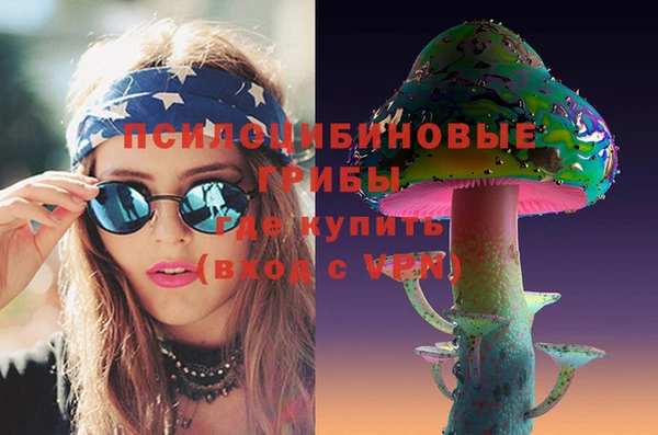 ГАЛЛЮЦИНОГЕННЫЕ ГРИБЫ Балабаново