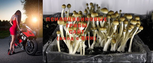 ГАЛЛЮЦИНОГЕННЫЕ ГРИБЫ Балабаново