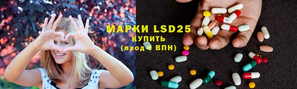 ГАЛЛЮЦИНОГЕННЫЕ ГРИБЫ Балабаново