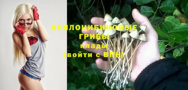 амф Балахна