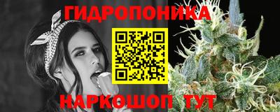альфа пвп Донецк