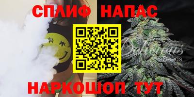 дмт Дубна