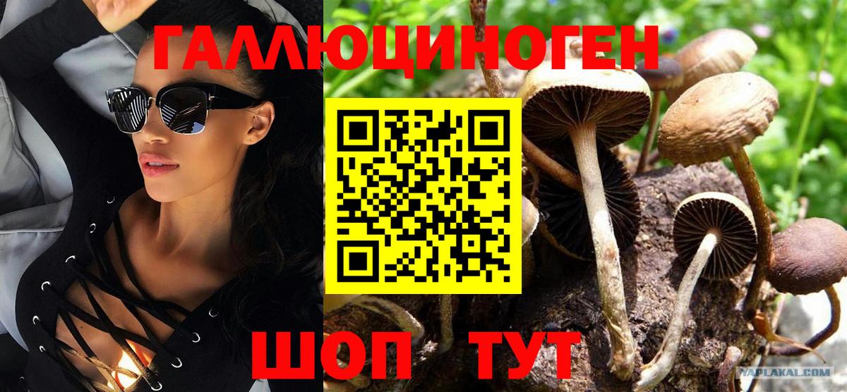 Галлюциногенные грибы MAGIC MUSHROOMS  Вход с VPN  Пыть-Ях 